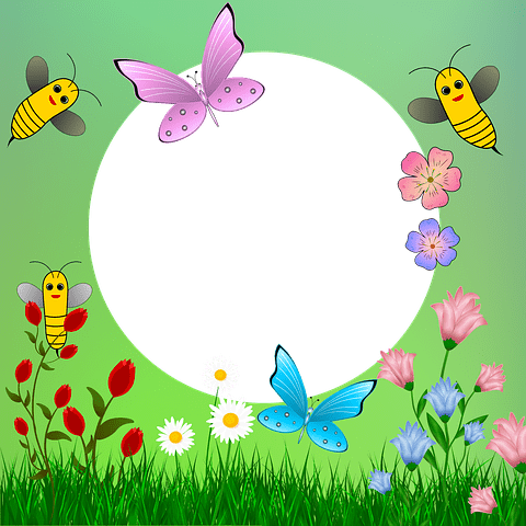 Humlor och fjärilar gillar solcellsparker 